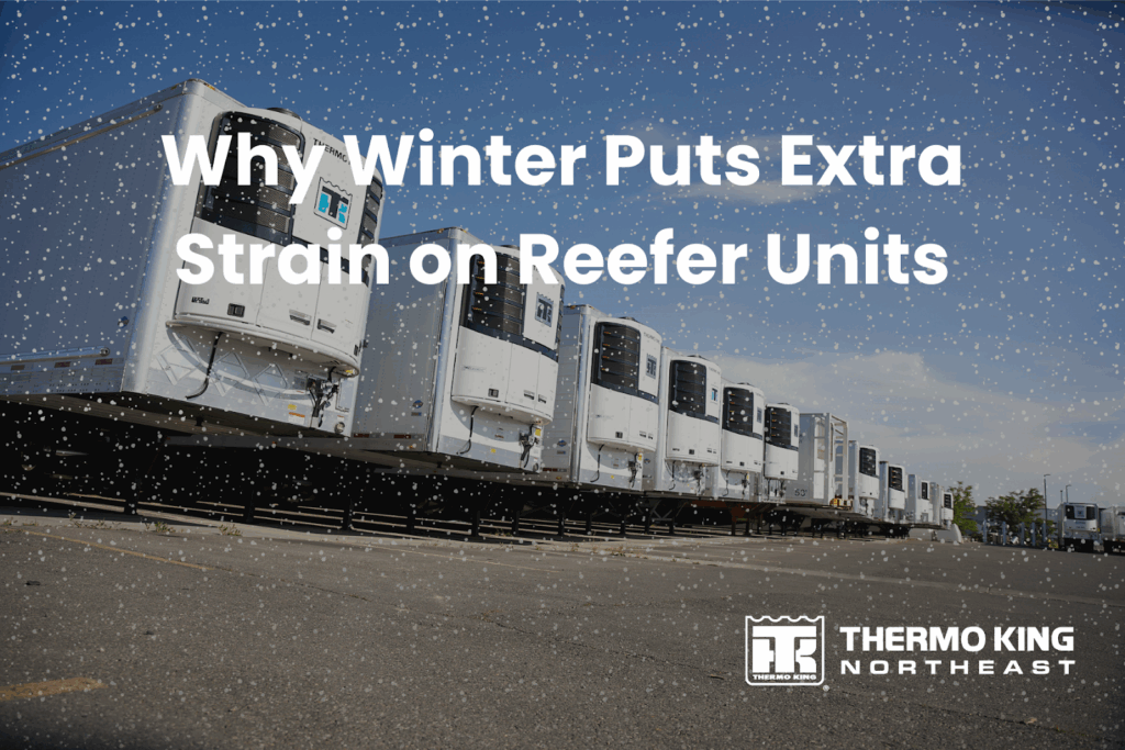 A line-up of refrigerated trailers in light snow in a parking lot. Text overlay reads: ‘Why Winter Puts Extra Strain on Reefer Units.’