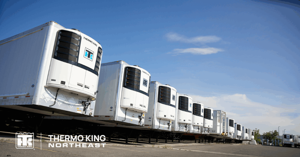 line up of trailers with thermo king units on them